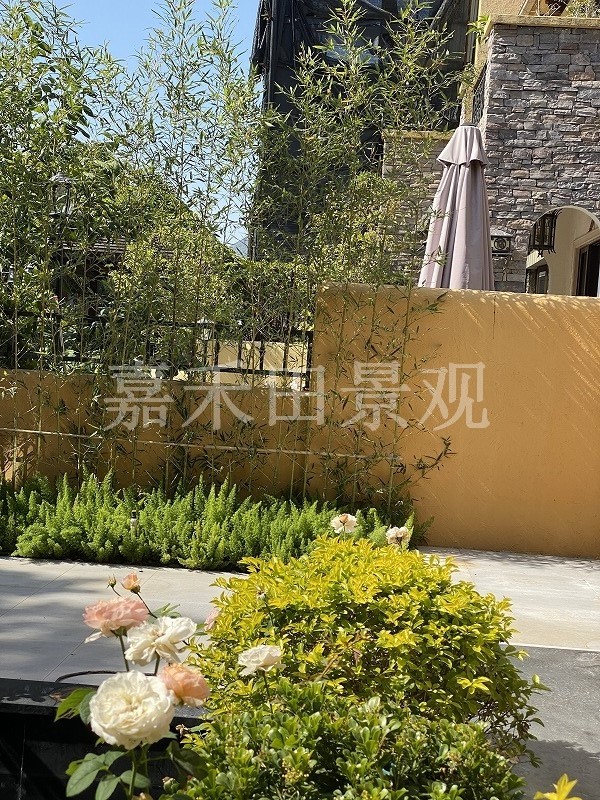 別墅花園的養(yǎng)護技巧包括哪些方面？